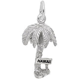 Image Title Rembrandt Charms 925 Sterling Silver Hawaii Palm Charm Pendant
