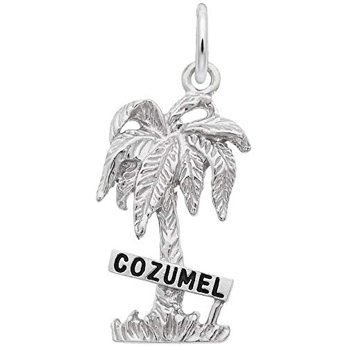 Image Title Rembrandt Charms 925 Sterling Silver Cozumel Palm W/Sign W/Bl.Paint Charm Pendant