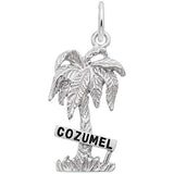 Image Title Rembrandt Charms 925 Sterling Silver Cozumel Palm W/Sign W/Bl.Paint Charm Pendant