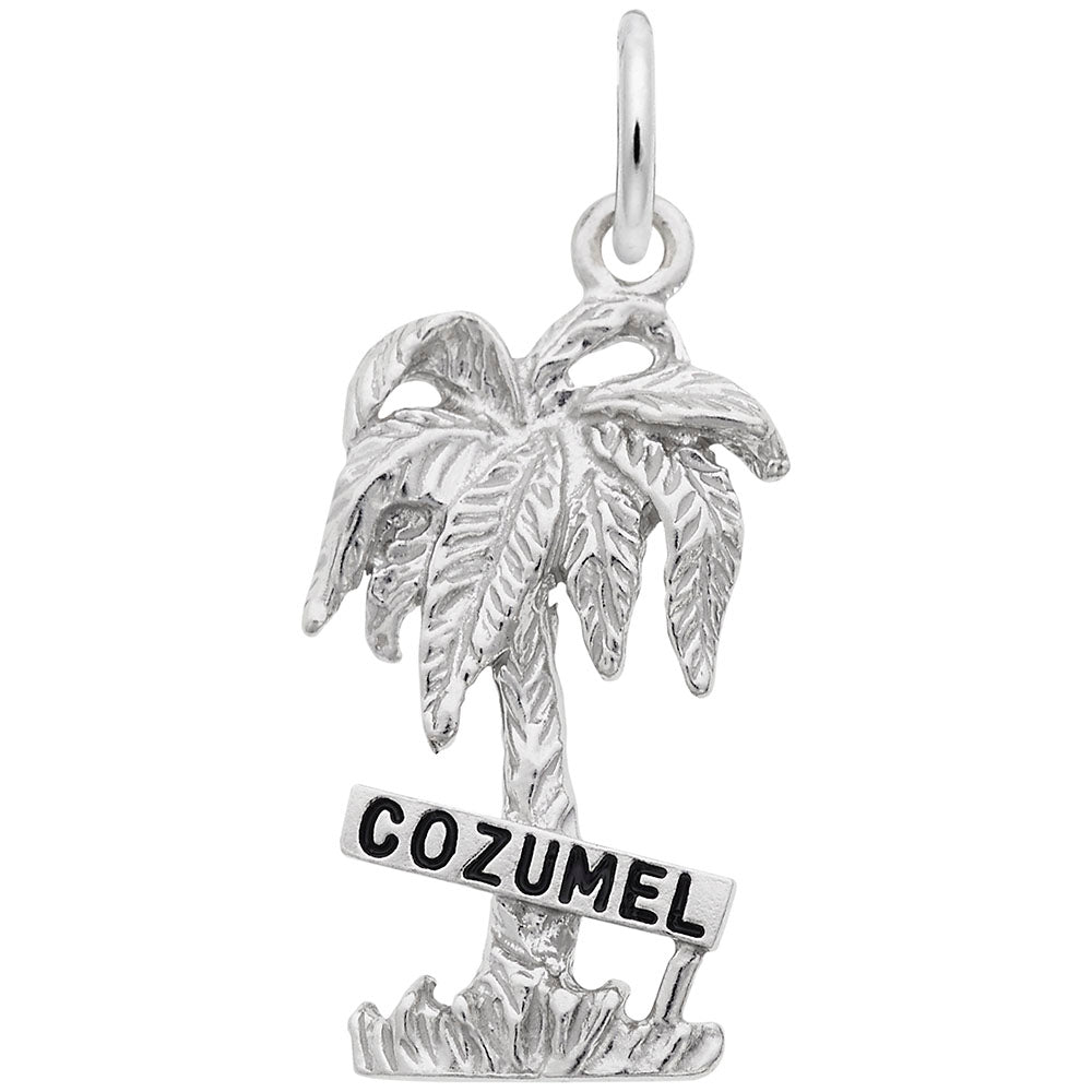 Image Title Rembrandt Charms Cozumel Palm W/Sign W/Bl.Paint Charm Pendant Available in Gold or Sterling Silver
