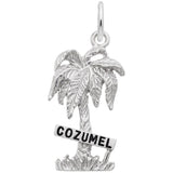 Image Title Rembrandt Charms Cozumel Palm W/Sign W/Bl.Paint Charm Pendant Available in Gold or Sterling Silver