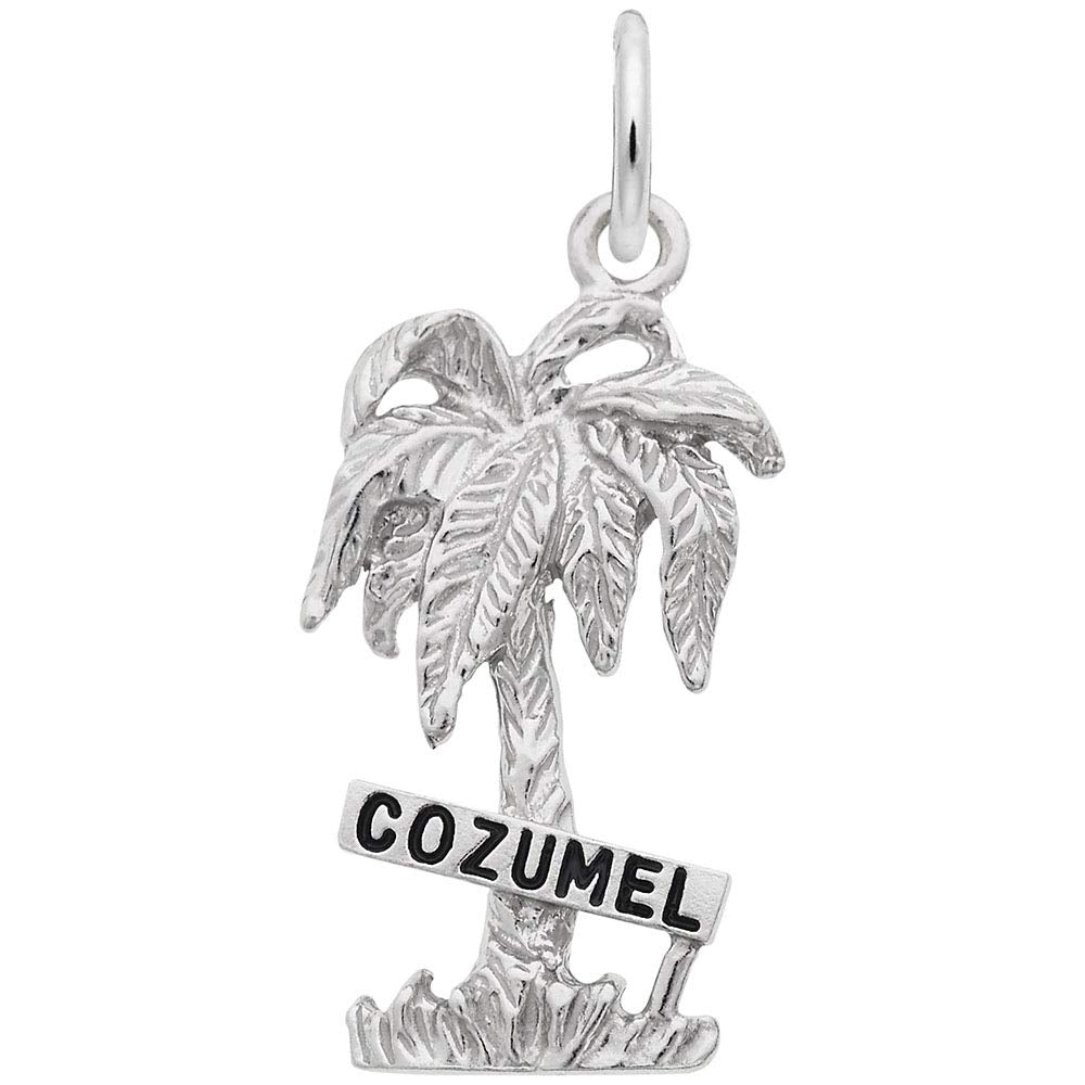 Image Title Rembrandt Charms 925 Sterling Silver Cozumel Palm W/Sign W/Bl.Paint Charm Pendant