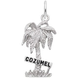 Image Title Rembrandt Charms 925 Sterling Silver Cozumel Palm W/Sign W/Bl.Paint Charm Pendant