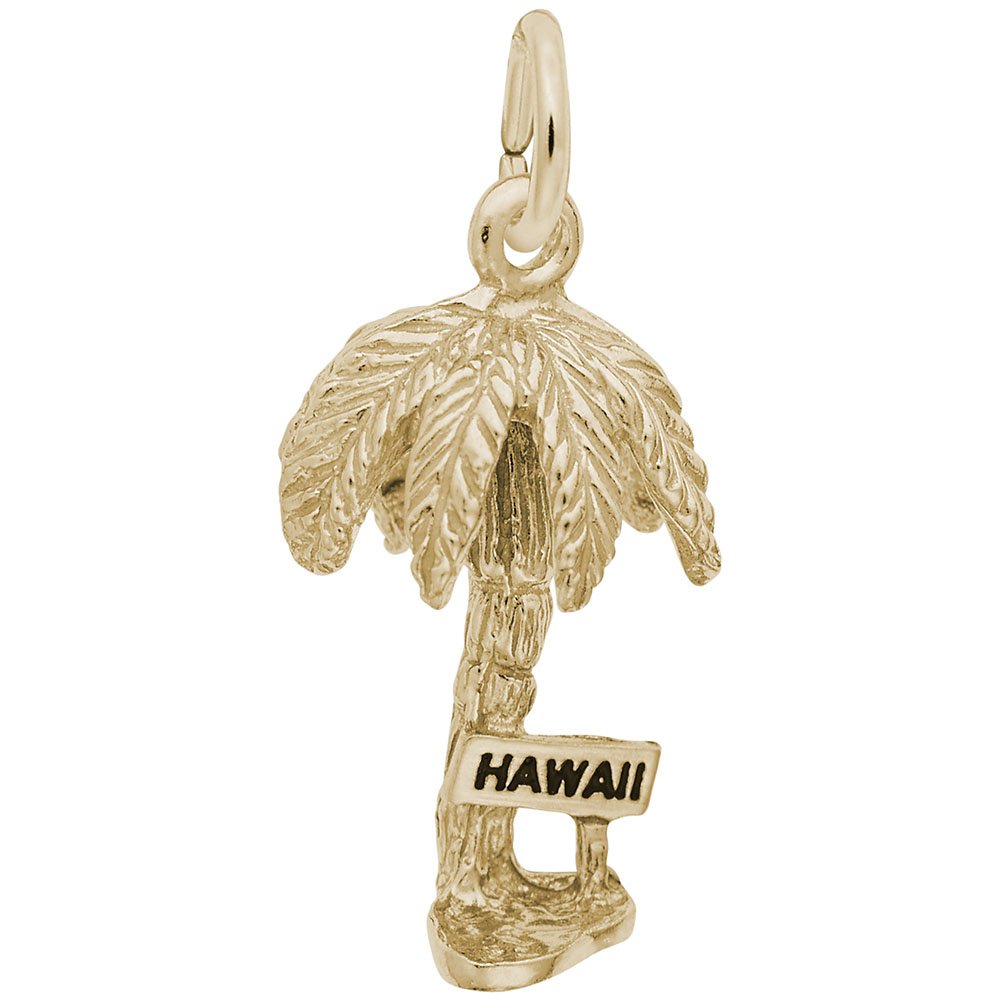 Image Title Rembrandt Charms 14K Yellow Gold Hawaii Palm Charm Pendant