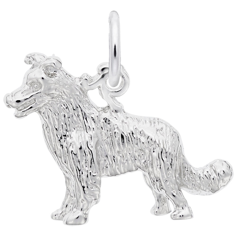 Image Title Rembrandt Charms 925 Sterling Silver Border Collie Charm Pendant
