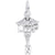 Rembrandt Charms Licensed Practical Nurse Charm Pendant Available in Gold or Sterling Silver