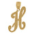10kt Yellow Gold Unisex Initial H Charm Pendant