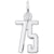 Rembrandt Charms Number 75 Charm Pendant Available in Gold or Sterling Silver