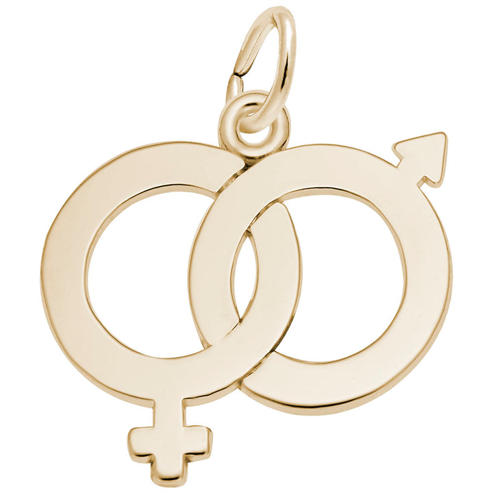 Rembrandt Charms Gold Plated Sterling Silver Male & Female Symbol Charm Pendant