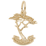 Rembrandt Charms Gold Plated Sterling Silver Monterey Cypress Charm Pendant