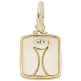Rembrandt Charms Gold Plated Sterling Silver Scale Charm Pendant
