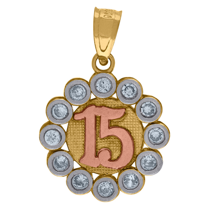 10kt Gold Tri-color CZ Womens 15 Anos Ht:19.3mm x W:13.6mm Quinceanera Charm Pendant
