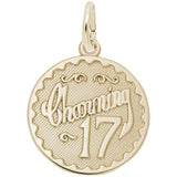 Rembrandt Charms Gold Plated Sterling Silver Charming 17 Charm Pendant