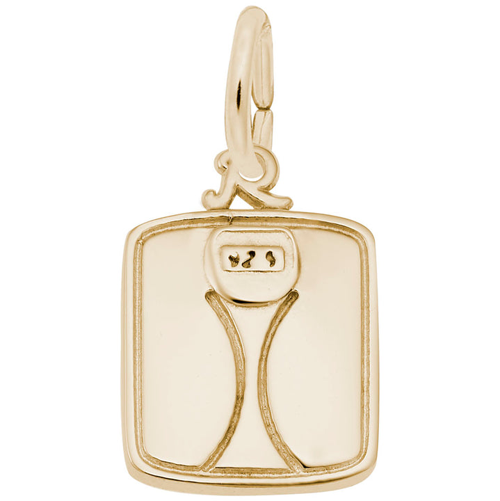 Rembrandt Charms Gold Plated Sterling Silver Scale Charm Pendant