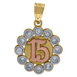 10kt Gold Tri-color CZ Womens 15 Anos Ht:19.3mm x W:13.6mm Quinceanera Charm Pendant