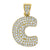 10kt Yellow Gold Unisex Cubic Zirconia CZ Initial Letter C Charm Pendant
