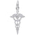 Rembrandt Charms Caduceus Charm Pendant Available in Gold or Sterling Silver