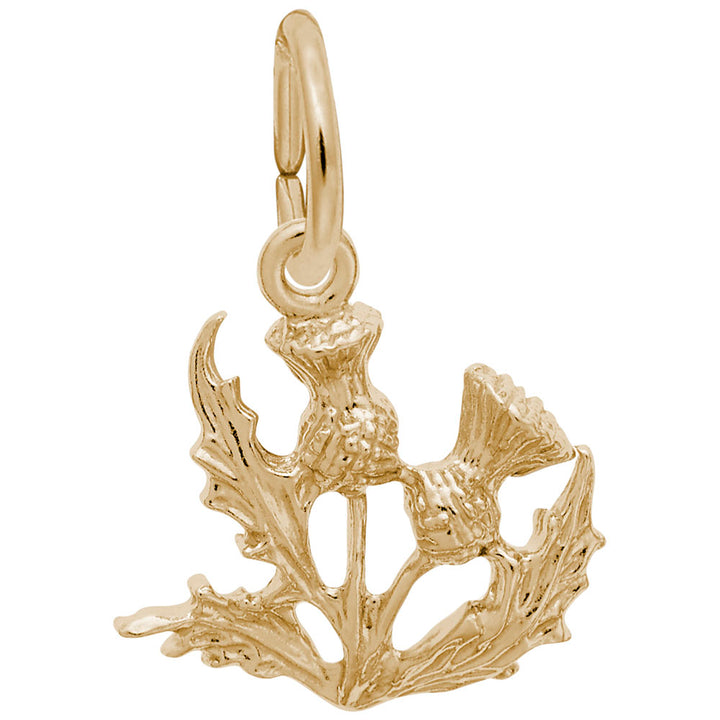 Rembrandt Charms Gold Plated Sterling Silver Thistle Charm Pendant