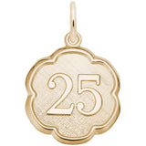 Rembrandt Charms 14K Yellow Gold Number 25 Charm Pendant