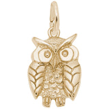 Rembrandt Charms Gold Plated Sterling Silver Wise Owl Charm Pendant