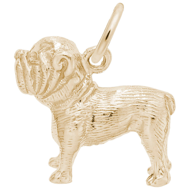Rembrandt Charms Gold Plated Sterling Silver Bulldog Charm Pendant