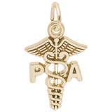 Rembrandt Charms Gold Plated Sterling Silver Pa Caduceus Charm Pendant