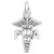 Rembrandt Charms Pa Caduceus Charm Pendant Available in Gold or Sterling Silver