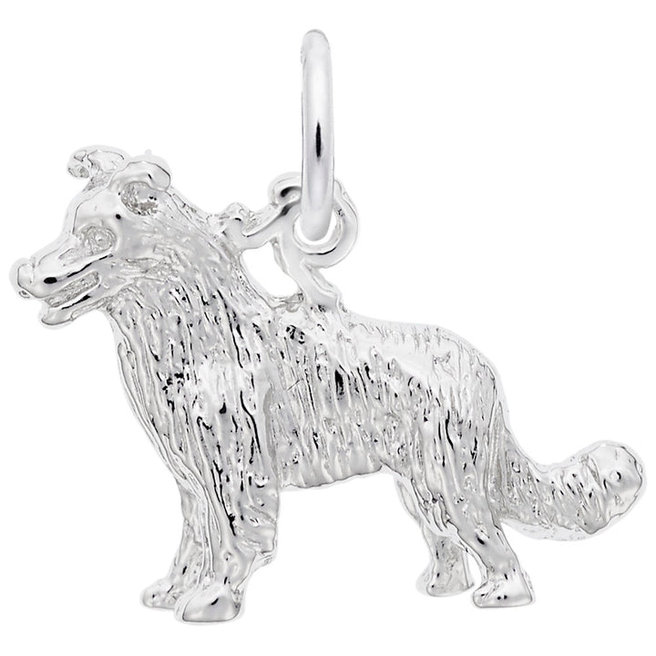 Rembrandt Charms Border Collie Charm Pendant Available in Gold or Sterling Silver