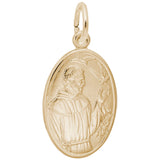 Rembrandt Charms Gold Plated Sterling Silver St. Francis Charm Pendant