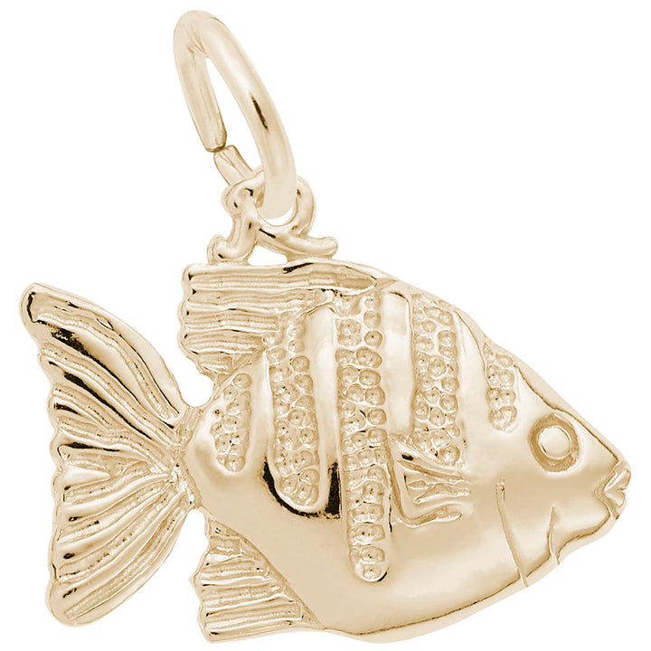 Rembrandt Charms 14K Yellow Gold Angelfish Charm Pendant