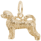 Rembrandt Charms Gold Plated Sterling Silver Portuguese Water Dog Charm Pendant
