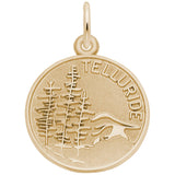 Rembrandt Charms Gold Plated Sterling Silver Telluride Charm Pendant