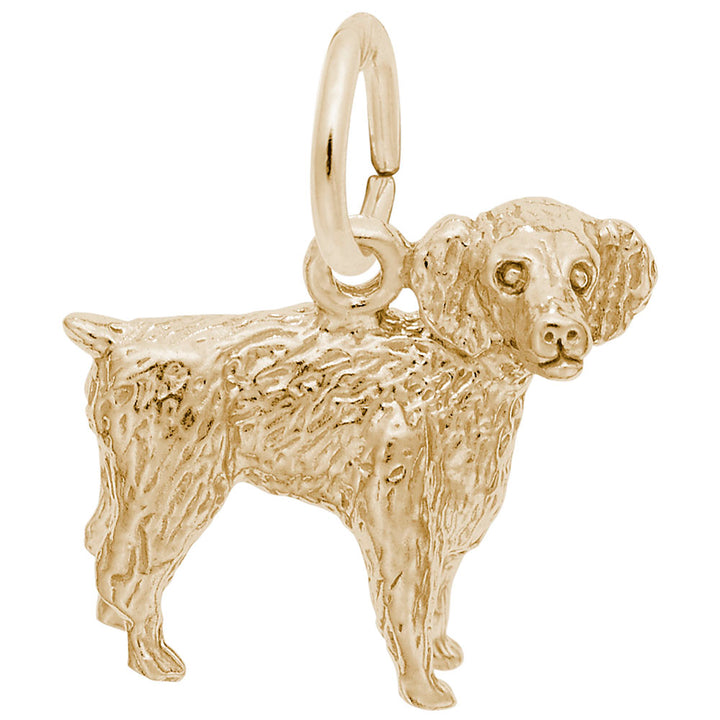 Rembrandt Charms 14K Yellow Gold Boykin Spaniel Charm Pendant