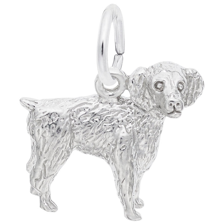 Rembrandt Charms 14K White Gold Boykin Spaniel Charm Pendant