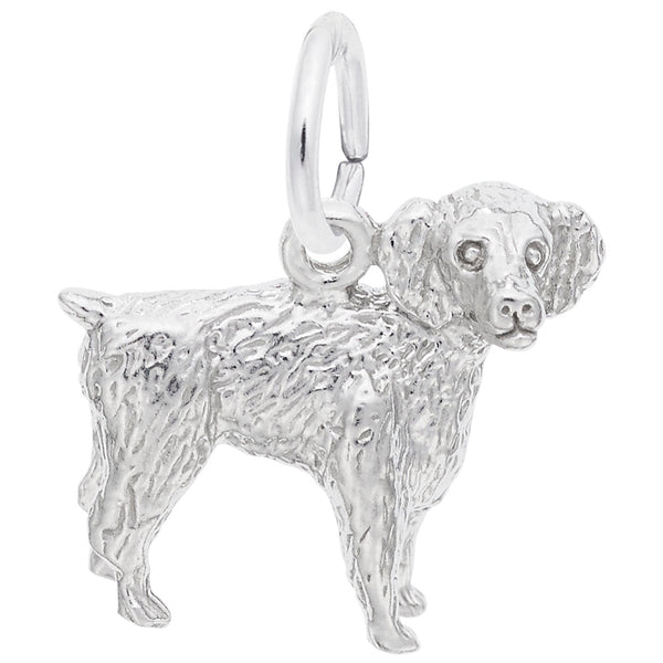 Rembrandt Charms Boykin Spaniel Charm Pendant Available in Gold or Sterling Silver