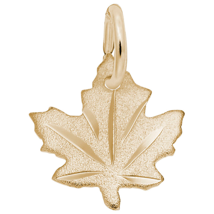 Rembrandt Charms 10K Yellow Gold Maple Leaf - Satin Charm Pendant